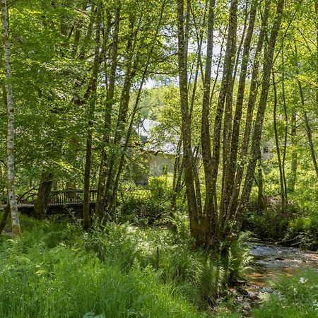 Gite Nature Le Moulin Vitrac-sur-Montane Kültér fotó