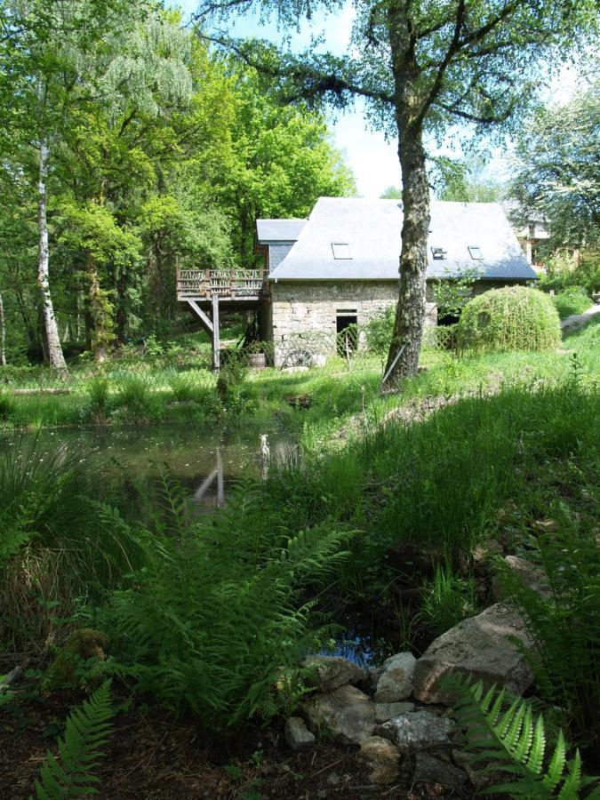 Gite Nature Le Moulin Vitrac-sur-Montane Kültér fotó