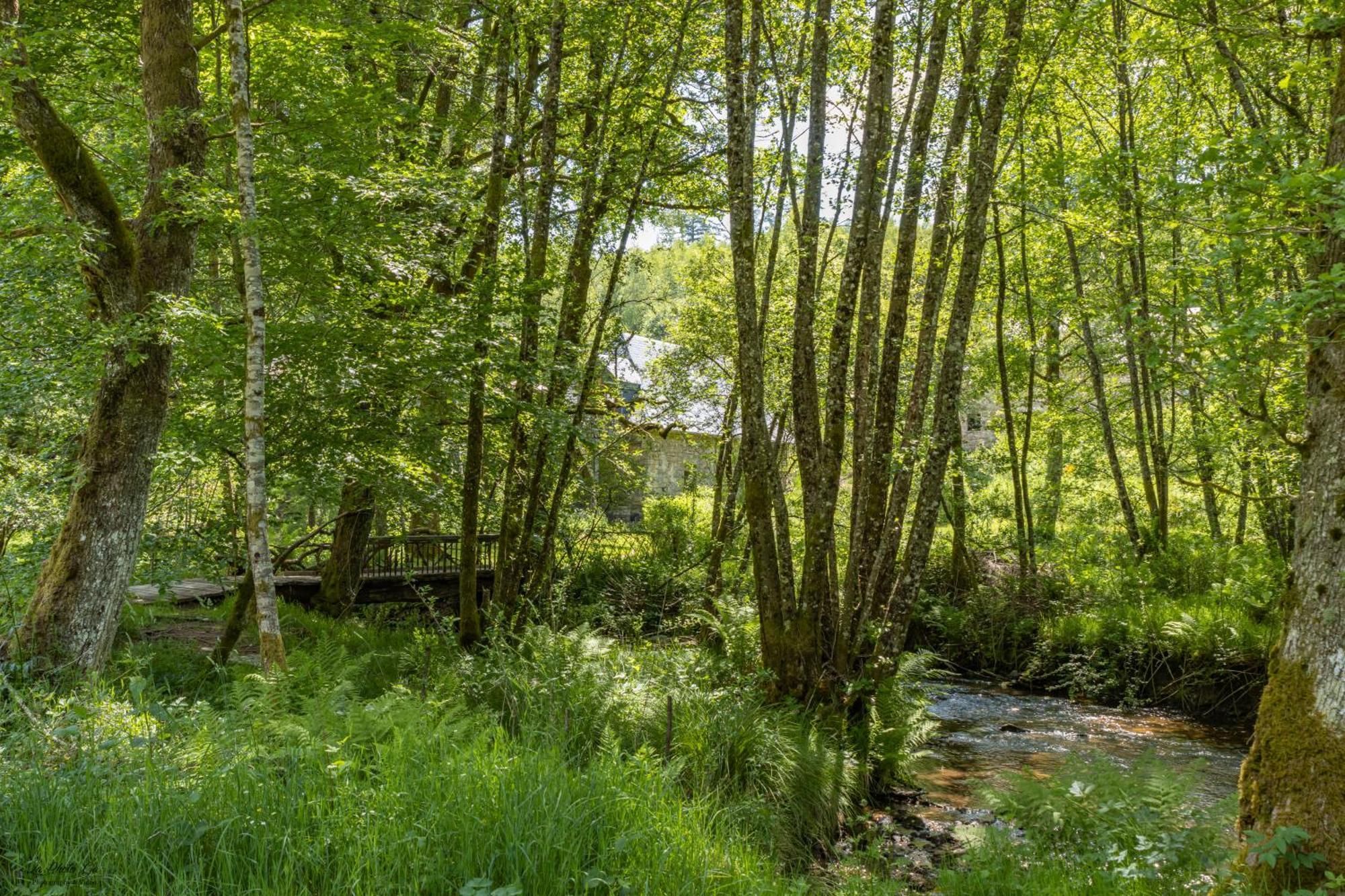 Gite Nature Le Moulin Vitrac-sur-Montane Kültér fotó