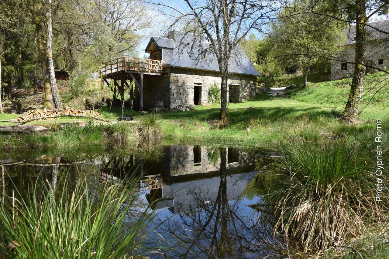 Gite Nature Le Moulin Vitrac-sur-Montane Kültér fotó